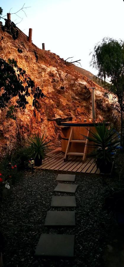 Casa Ollagua Hotel Vicuña Eksteriør billede
