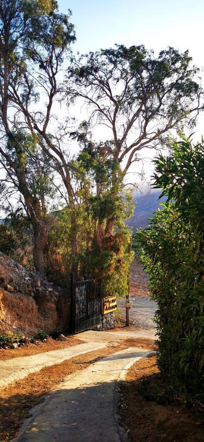 Casa Ollagua Hotel Vicuña Eksteriør billede